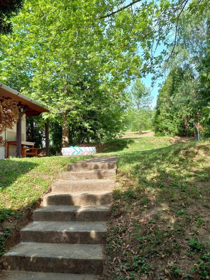 Helena Apartman Cserszegtomaj Esterno foto