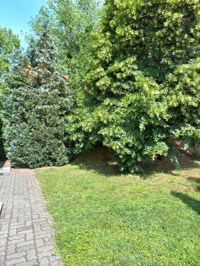Helena Apartman Cserszegtomaj Esterno foto