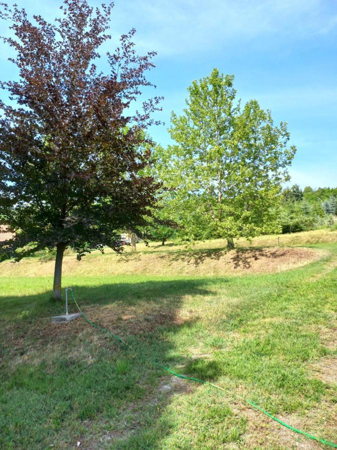 Helena Apartman Cserszegtomaj Esterno foto