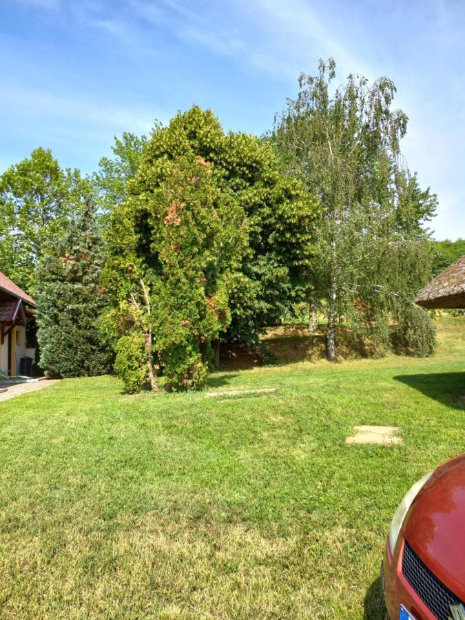 Helena Apartman Cserszegtomaj Esterno foto